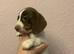 Ready now! Piebald miniature dachshund girl pup.