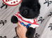 (last 3 remaning) Adorable KC Registered Chow Chow Puppies For Sale
