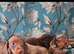 Ready now! True miniature dachshund