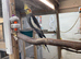 2yr old male Pearl cockatiel