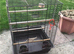Parrot cage for sale