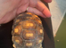 1 year old sulcata tortoise for sale