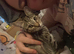 Kitten to rehome
