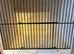 Bird carry boxes/ transport cages