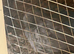 Quails