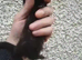 BLACK MICRO FERRET- THE FIRST