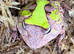 Green Surinam Horned Frog at Birmingham Reptiles