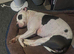 Keela 7 years