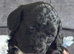 Cockapoo puppies for sale
