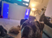 Olde English bulldog