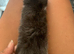 Mixed maincoon