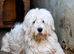 The best things in life are worth waiting for... Meet Barney
