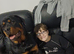 Male Rottweiler 1yr