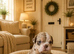 ️Beautiful olde English bulldogs️