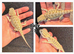 Bearded dragons
