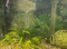 Aqairium with cupboards and fish