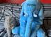Beautiful British long hair kittens