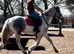 15.1 Connemara x Cob , Blue n white rising 4 yr mare
