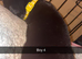 Beautiful Rottweiler pups for sale