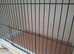Single Breeding Cage