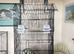 Beautiful brand new cage ideal for budgies