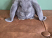 Beautiful French Lop Babies