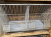 Double breeding cages