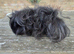 Pure Bred Lunkarya Boar