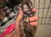 TINY PAWS, BIG PERSONALITIES!