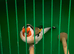Siberian goldfinch cock