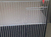 Single budgie cage