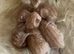 Beautiful adorable full ginger kittens x 4