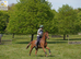 Chiddock Timeline 13.2h Gelding Allrounder