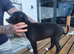 Lurcher pup boy