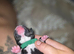 Frenchie cross whippet mum patterdale cross daushaund dad