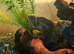 2 musk turtles