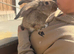 Baby bunny’s