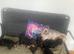 Yorkshire terrier puppies available-vaccinated,chipped & insured