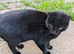 2 year old for rehoming