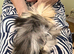 Guinea Pig - Baby Boy