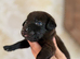 Patterjack girl!!