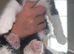 5 kittens ready now