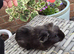 Beautiful Baby Boys Funky & Smooth Coat