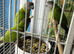 Baby Senegal Glasgow