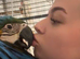 SILLY TAME Blue and gold baby macaws - 14/10/2026