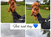 Stunning Labrador pups for sale
