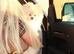 Toy Pomeranian 11months boy