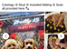 Stud KC Toy Poodle Extensively health tested