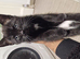 3 Adorable kittens looking for a forever home