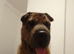 7 months Friendly Giant